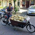 Melons in bakfiets